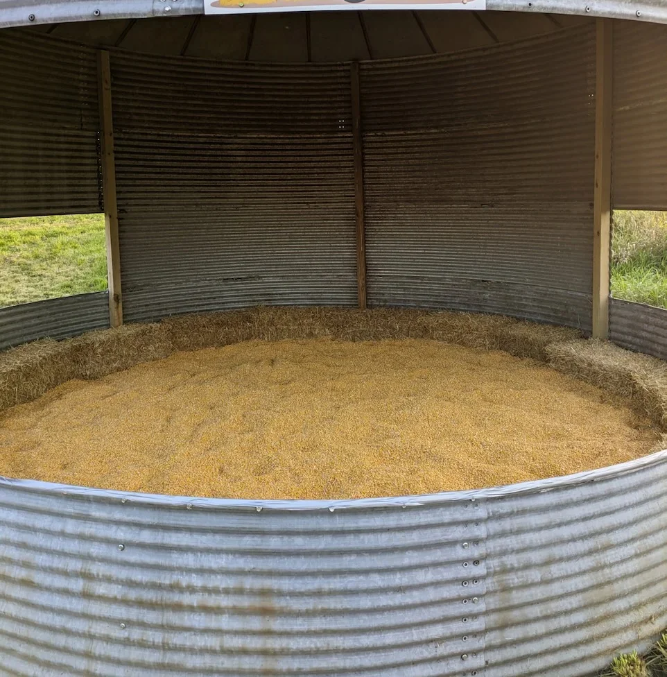 Corn Shed