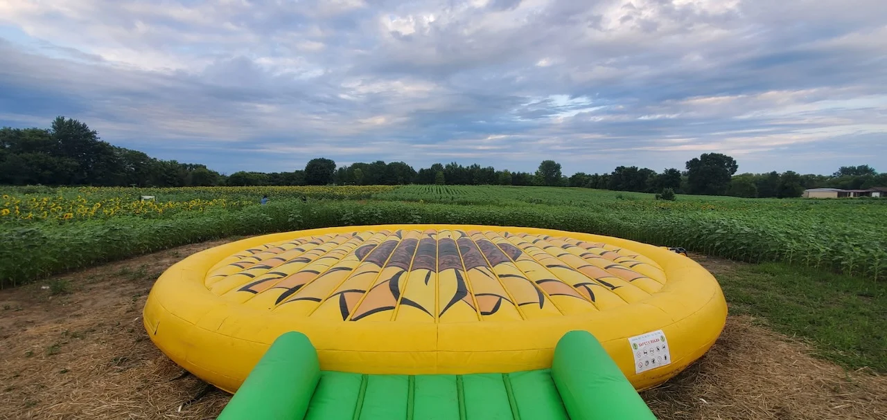 Bounce pad fun