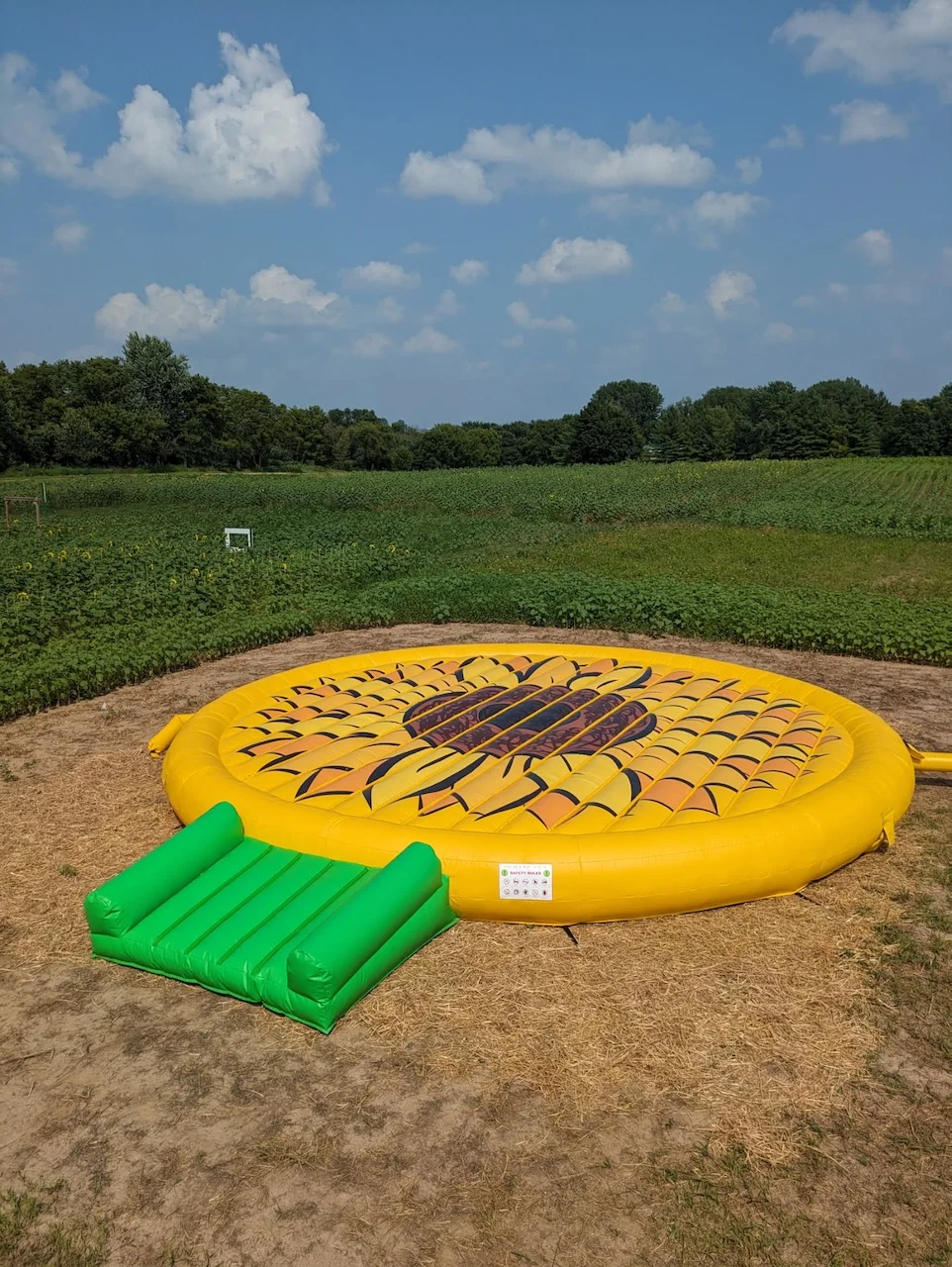 Giant Bounce Pads